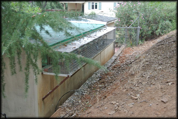 Breeding Aviary